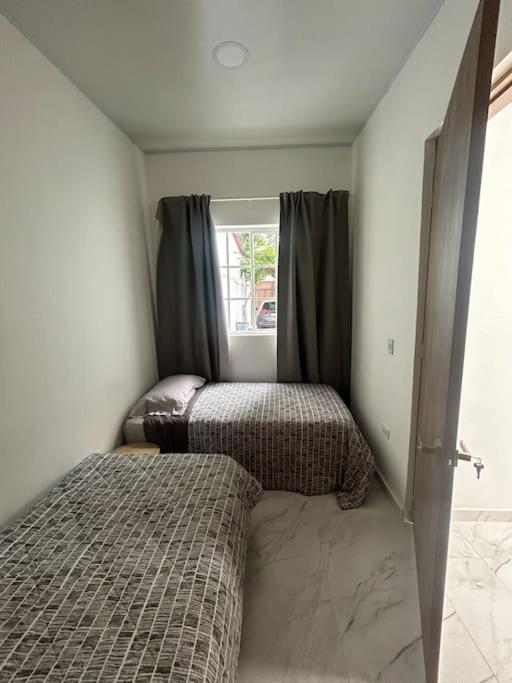 Hébergement de vacances Casa Palmera Privada *